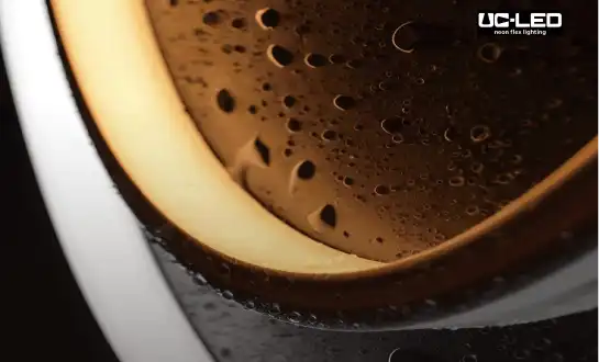 Is LED Neon Flex suitable for both indoor and outdoor use?